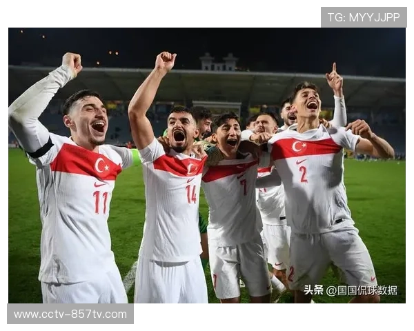 土耳其队依赖边路传中与定位球，近26%进球来自定位球