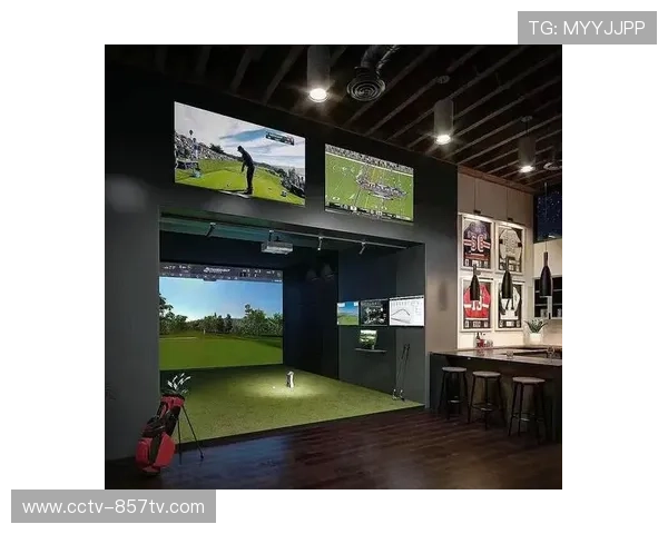 室内高尔夫模拟器与主题乐园兴起，吸引年轻消费群体