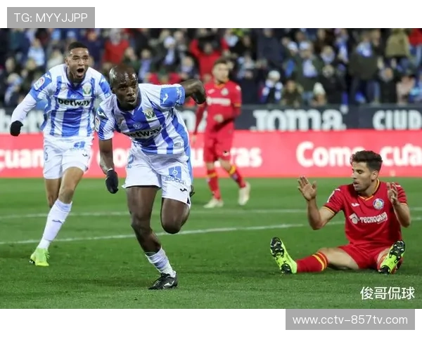 斯图加特伤病影响阵容深度，霍芬海姆战术灵活性占优