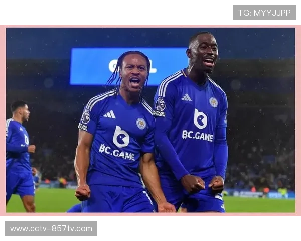 热刺客场小胜伯恩茅斯，凯恩制胜球保住前四希望