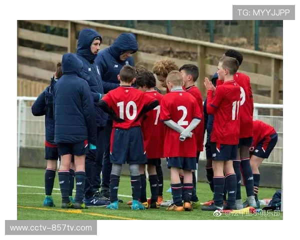 法甲财务公平法案执行，俱乐部运营合规性受关注