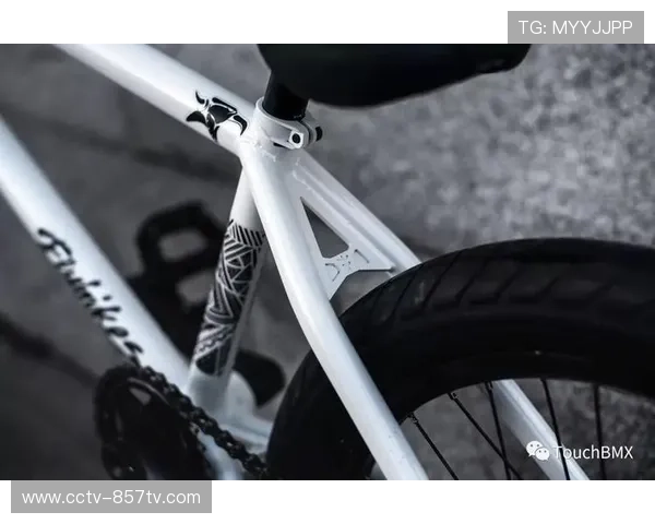 二手高端BMX车架交易平台获风投,反映市场细分需求增长 二手高端BMX车架交易平台获风投,反映市场细分需求增长