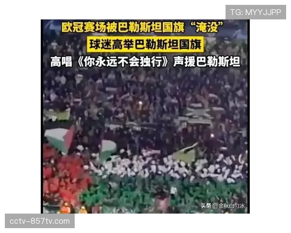 从资格赛到八强:凯尔特人队史欧冠最佳战绩的背后故事