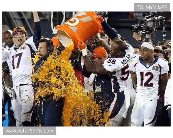 深度报道：东欧橄榄球发展现状——机遇、挑战与通向职业化的漫漫长路